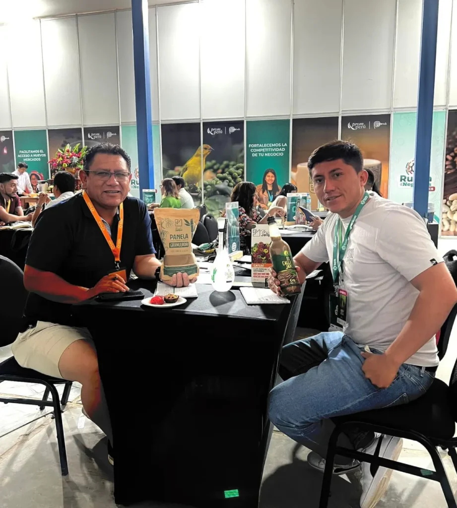 Proyecto nuevo (100)